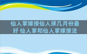 仙人掌嫁接仙人球几月份最好 仙人掌和仙人掌嫁接法